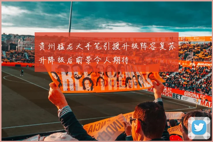 贵州猛龙大手笔引援升级阵容复苏升降级后前景令人期待