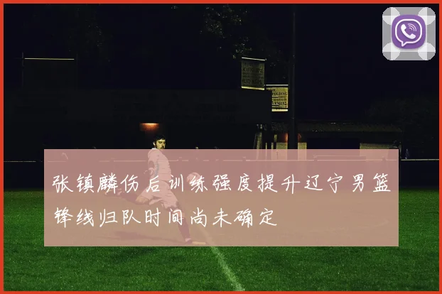 张镇麟伤后训练强度提升辽宁男篮锋线归队时间尚未确定